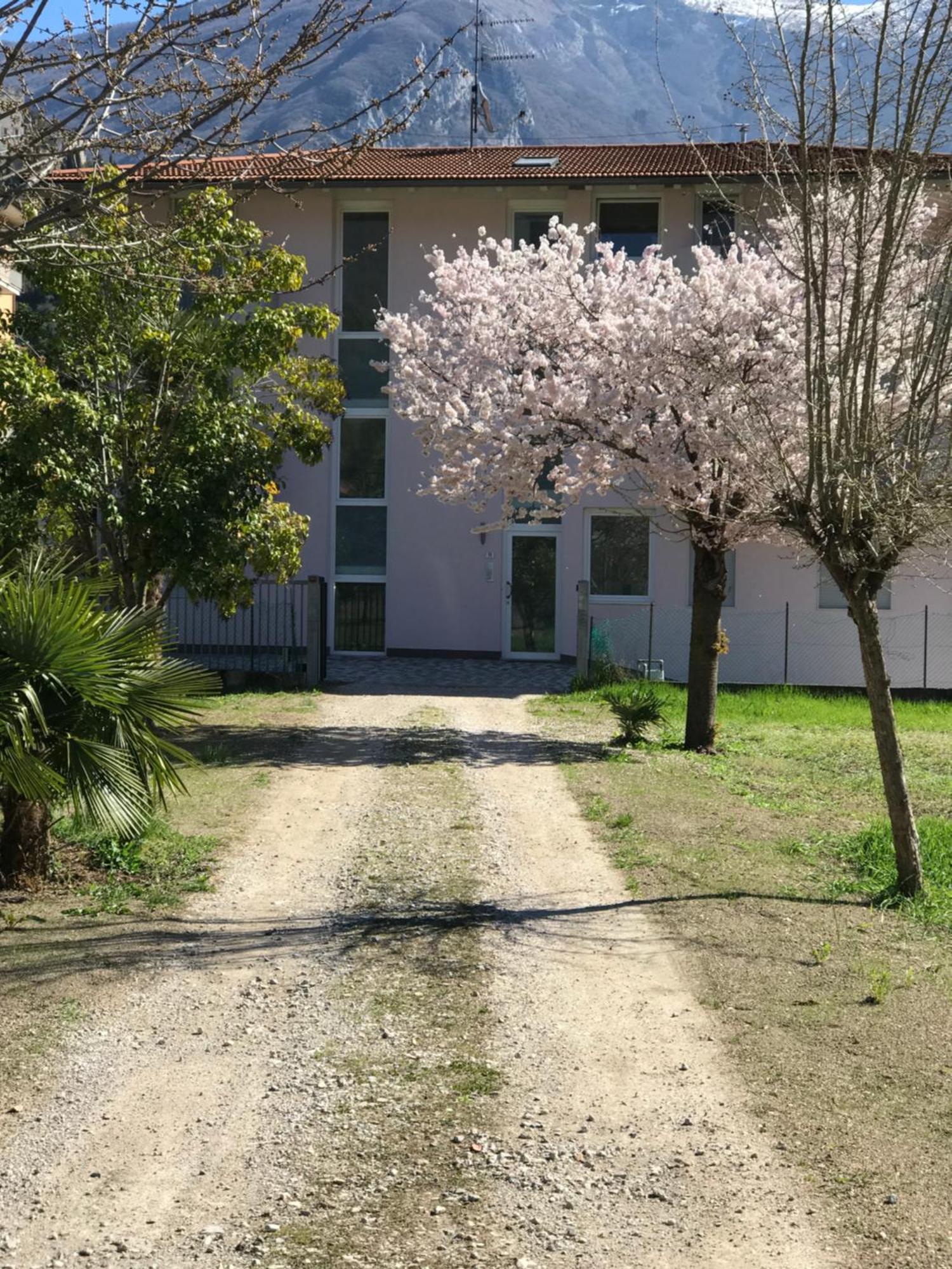 Appartamenti Laly Arco Bagian luar foto